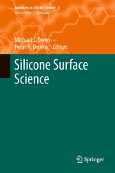 Silicone Surface Science