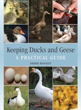 Keeping Ducks and Geese