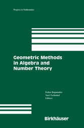 Geometric Methods in Algebra and Number Theory