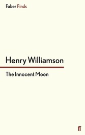 The Innocent Moon