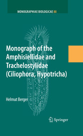 Monograph of the Amphisiellidae and Trachelostylidae (Ciliophora, Hypotricha)