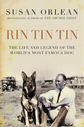 Rin Tin Tin