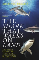 The Shark That Walks On Land