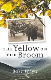 The Yellow on the Broom