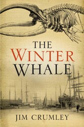 The Winter Whale