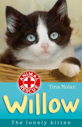 Willow the lonely kitten