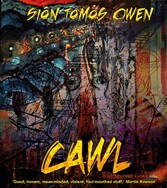 Cawl