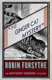 The Ginger Cat Mystery