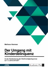 Die Diskussion um die Herabsetzung der Strafmündigkeitsgrenze auf 12 Jahre in Deutschland