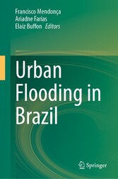 Urban Flooding in Brazil