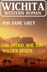 Ein Pferd wie wildes Feuer: Wichita Western Roman 38