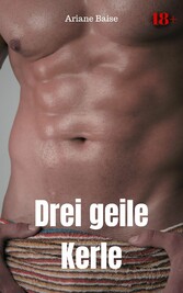 Drei geile Kerle