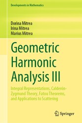 Geometric Harmonic Analysis III