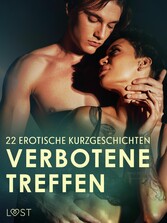 Verbotene Treffen: 22 erotische Kurzgeschichten