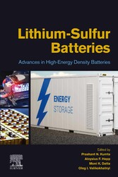 Lithium-Sulfur Batteries