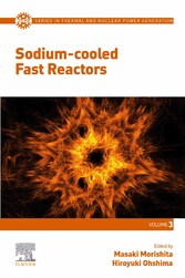 Sodium-cooled Fast Reactors