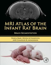 MRI Atlas of the Infant Rat Brain