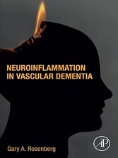 Neuroinflammation in Vascular Dementia