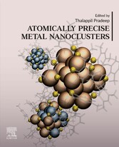 Atomically Precise Metal Nanoclusters