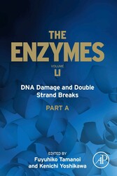 DNA Damage and Double Strand Breaks