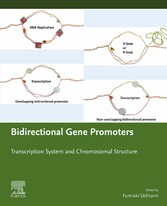 Bidirectional Gene Promoters