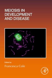 Meiosis in Development and Disease