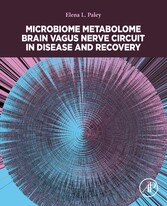 Microbiome Metabolome Brain Vagus Nerve Circuit in Disease and Recovery