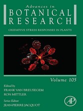 Oxidative Stress Responses in Plants