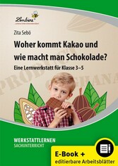 Woher kommt Kakao und wie macht man Schokolade?