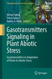 Gasotransmitters Signaling in Plant Abiotic Stress