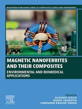 Magnetic Nanoferrites and their Composites