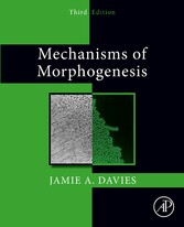 Mechanisms of Morphogenesis