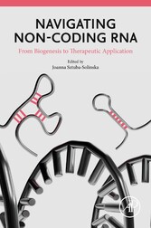 Navigating Non-coding RNA