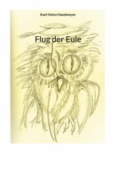 Flug der Eule