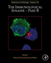 The Immunological Synapse - Part B