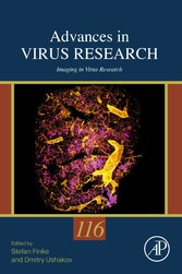 Imaging in Virus Research