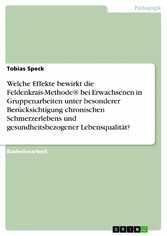 Welche Effekte bewirkt die Feldenkrais-Methode® bei Erwachsenen in Gruppenarbeiten unter besonderer Berücksichtigung chronischen Schmerzerlebens und gesundheitsbezogener Lebensqualität?