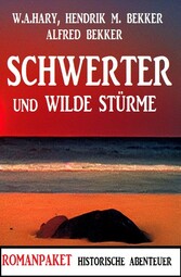 Schwerter und wilde Stürme: Romanpaket Historische Abenteuer