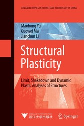 Structural Plasticity