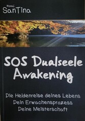 SOS Dualseele Awakening - Die Heldenreise deines Lebens - Dein Erwachensprozess - Deine Meisterschaft