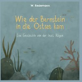 Wie der Bernstein in die Ostsee kam