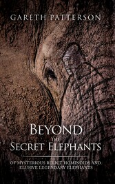 Beyond the Secret Elephants