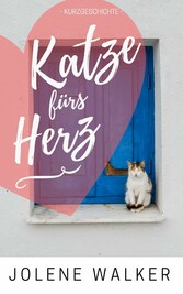 Katze fürs Herz