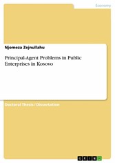 Principal-Agent Problems in Public Enterprises in Kosovo