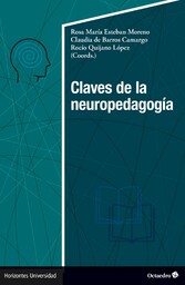 Claves de la neuropedagogía