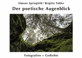 Der poetische Augenblick