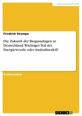 Die Zukunft der Biogasanlagen in Deutschland. Wichtiger Teil der Energiewende oder Auslaufmodell?