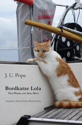 Bordkatze Lola