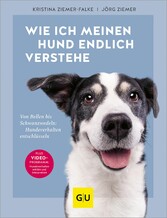 Wie ich meinen Hund endlich verstehe