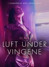 Luft under vingene - erotisk novelle